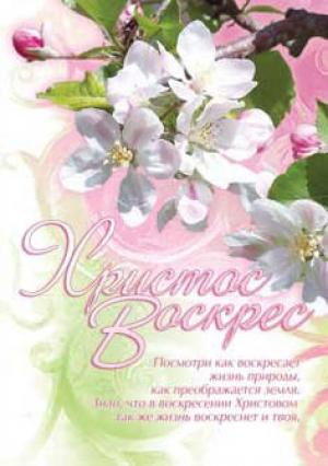 Христос воскрес! Посмотри как воскресает жизнь... Христос воскрес! Посмотри как воскресает жизнь...