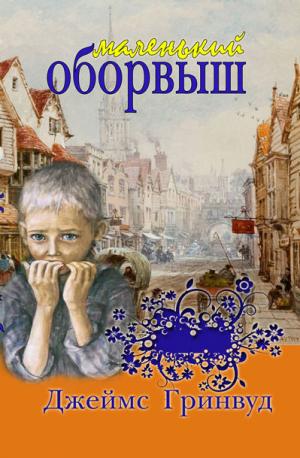Маленький оборвыш Маленький оборвыш